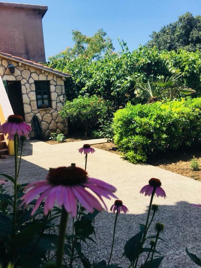 Milutinov Dvor Apartments Vrsi Dış mekan fotoğraf
